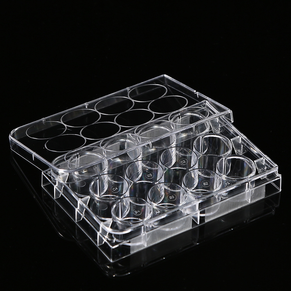 5Pcs Polystyrene 12 Well Petri - огляд і ціна Medical Wellness & Spa Werona